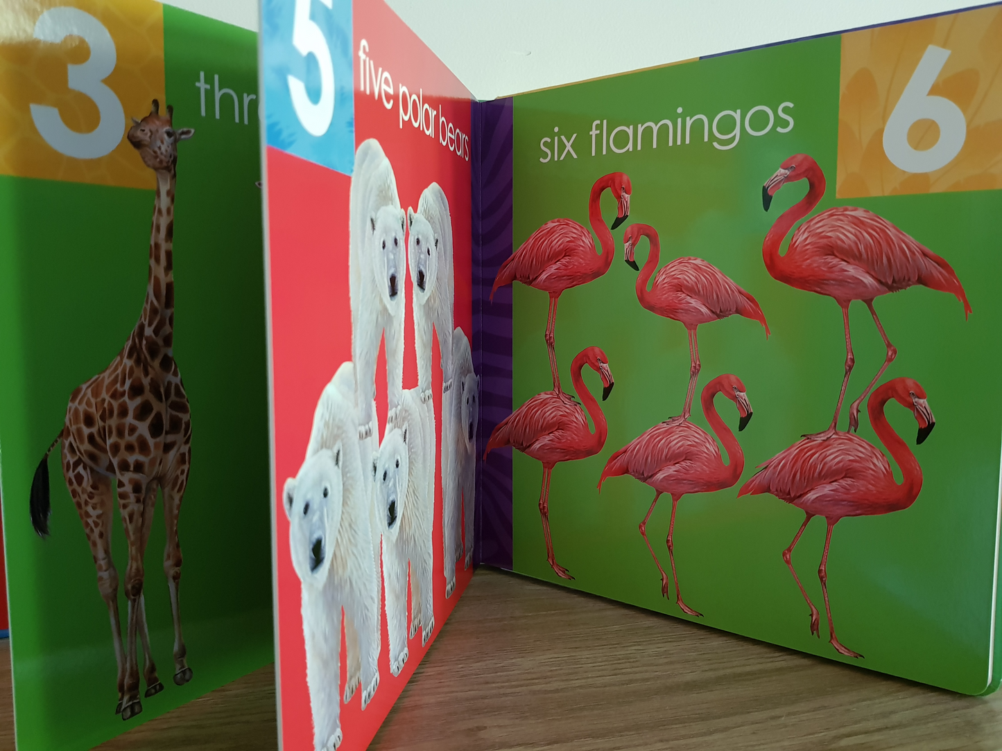 My First Counting Book