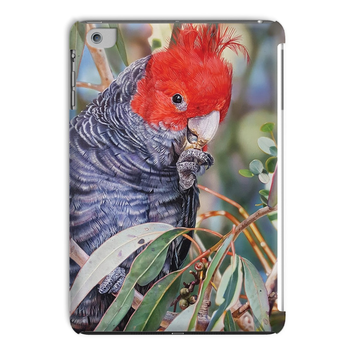 Gang Gang Cockatoo iPad and tablet Cases