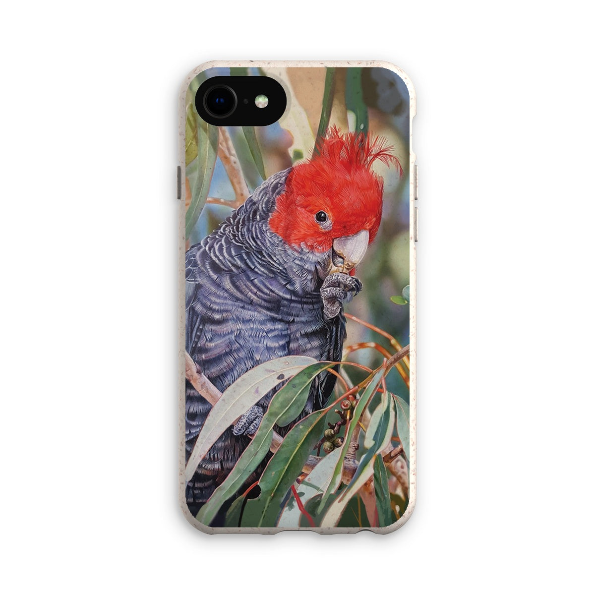 Gang Gang Cockatoo Eco Phone Case
