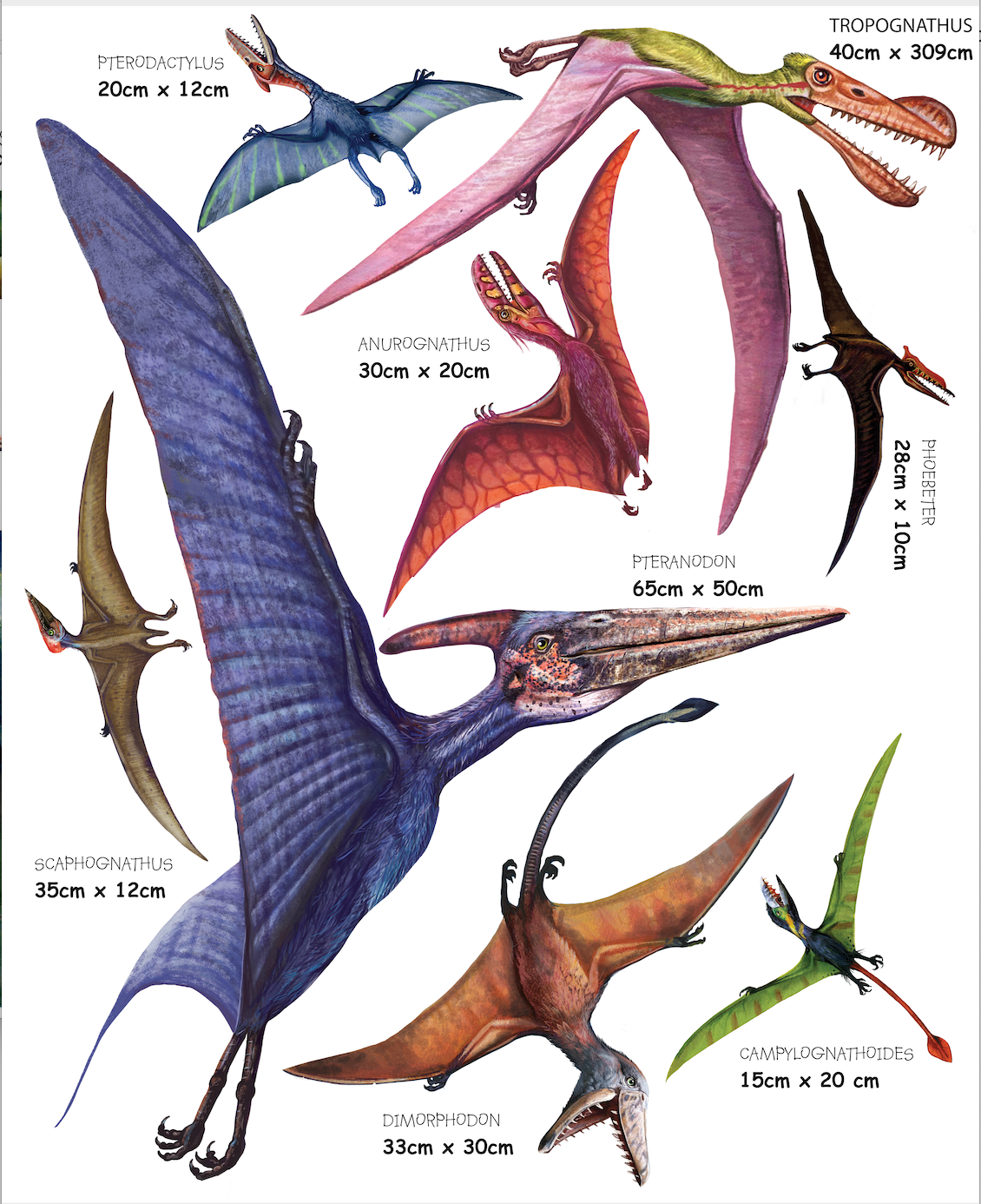Dinosaur Flyers - Wall Sticker Pack
