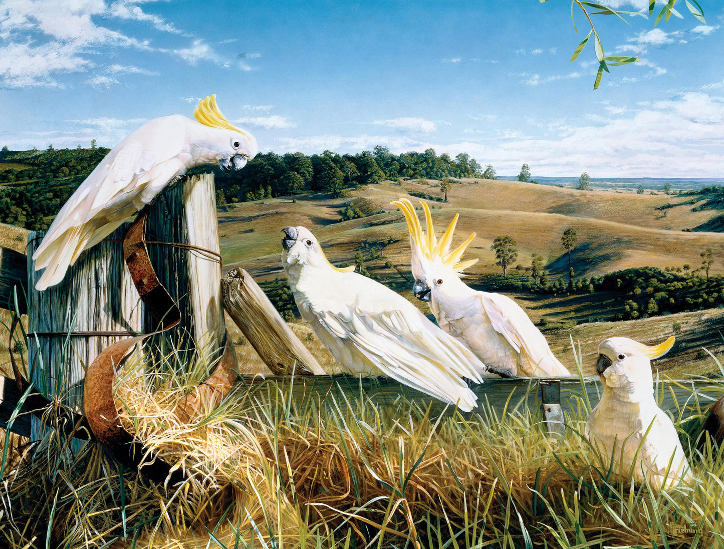 Country Senate (1000 Piece Puzzle)