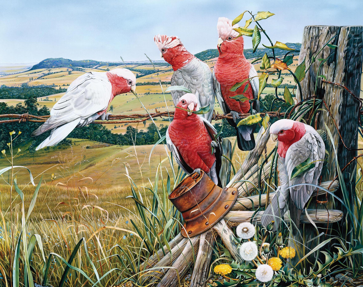 Galah Quintet (1000 Piece Puzzle)