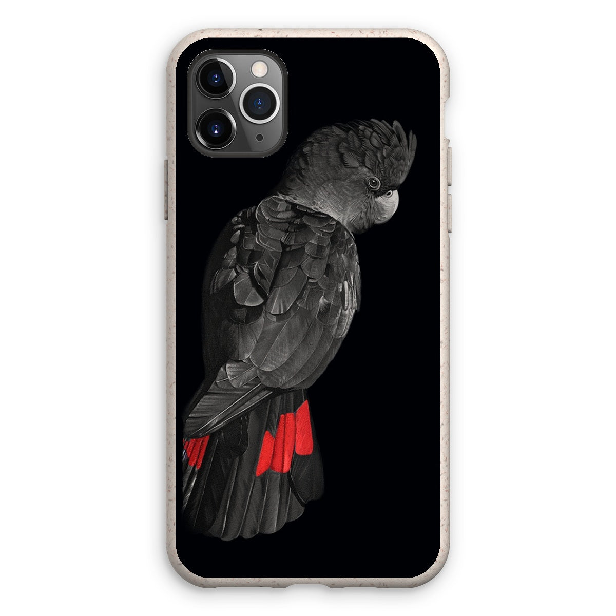 Red Tailed Black Cockatoo Eco Phone Case