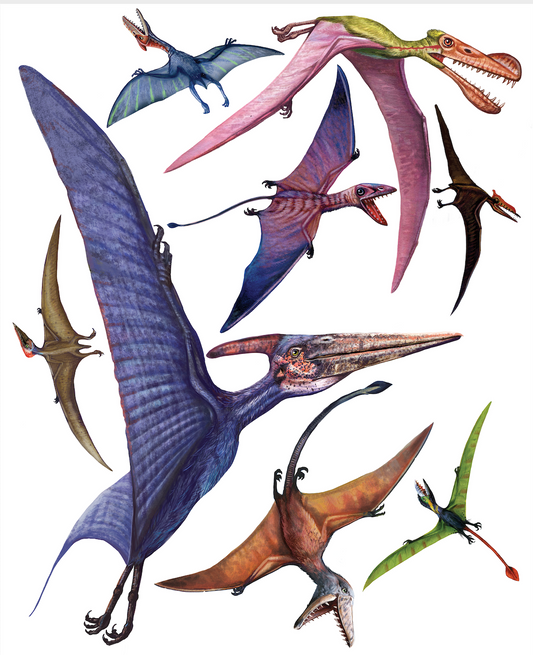 Dinosaur Flyers - Wall Sticker Pack