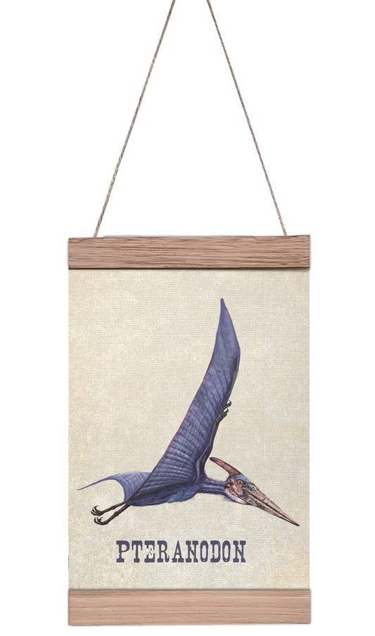 Pteranadon Wall Hanger