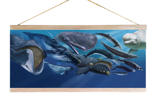 Whale Migration wall hanger