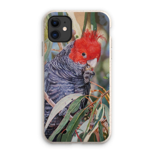 Gang Gang Cockatoo Eco Phone Case